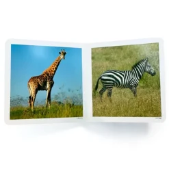 Libro de fotografías animales salvajes Volumen 1 - Nowordbooks