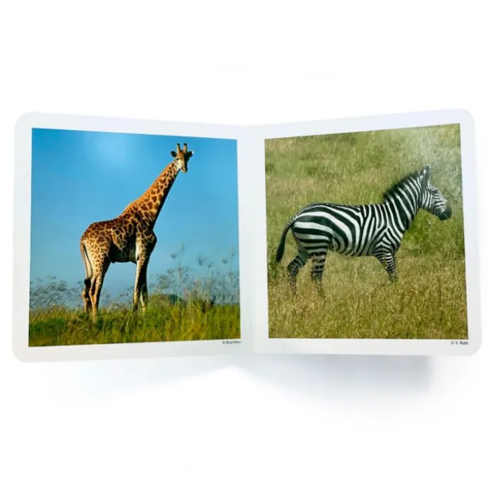 Libro de fotografías animales salvajes Volumen 1 - Nowordbooks