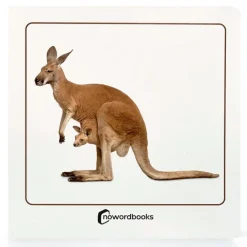 Libro de fotografías Animales salvajes y sus crías - Nowordbooks