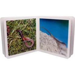 Libro de fotografías animalitos - Nowordbooks