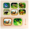 Libro de fotografías Busca y encuentra Animales del bosque - Nowordbooks