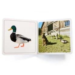 Libro de fotografías Dónde está animales de la granja - Nowordbooks