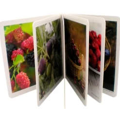 Libro de fotografías frutos del bosque - Nowordbooks