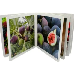 Libro de fotografías frutos del bosque - Nowordbooks