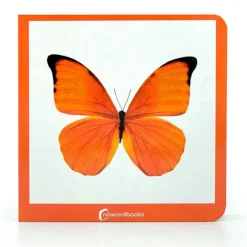 Libro de fotografías Naranja - Nowordbooks