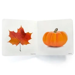Libro de fotografías Naranja - Nowordbooks