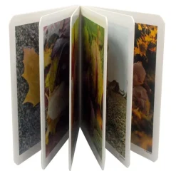 Libro de fotografías otoño - Nowordbooks