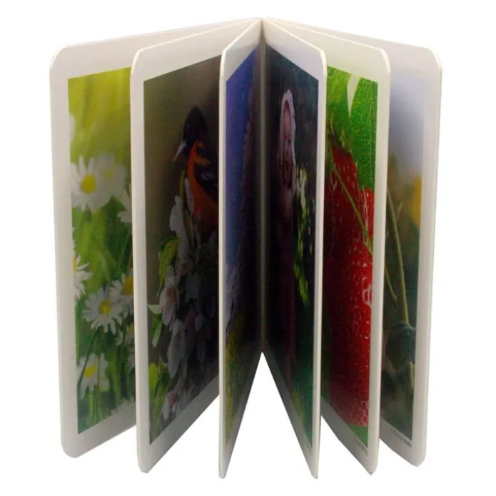 Libro de fotografías primavera - Nowordbooks