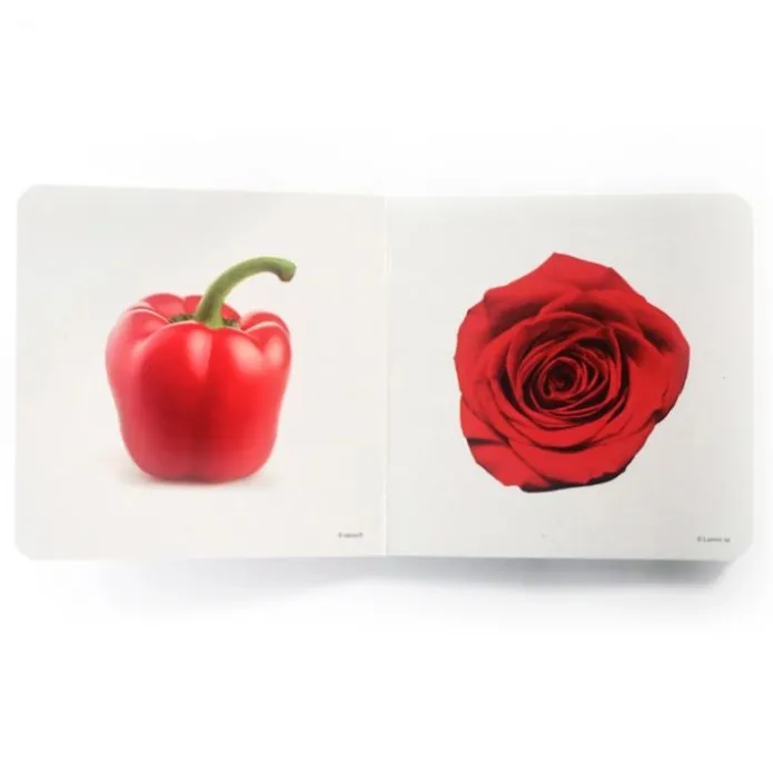 Libro de fotografías Rojo - Nowordbooks