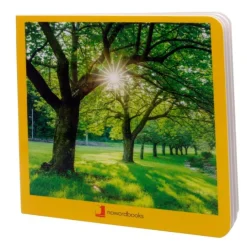 Libro de fotografías verano - Nowordbooks