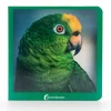 Libro de fotografías Verde - Nowordbooks
