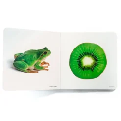 Libro de fotografías Verde - Nowordbooks