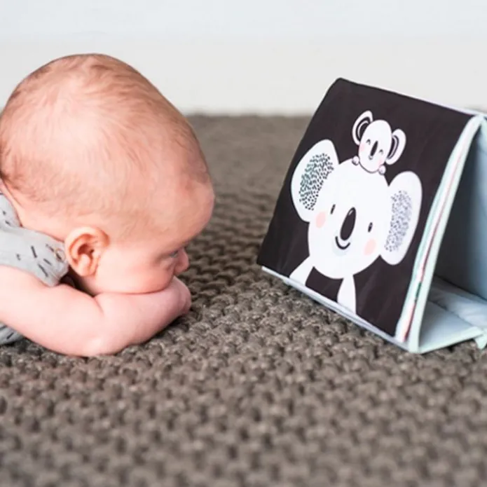 Libro de tela grande para bebés - Taf Toys