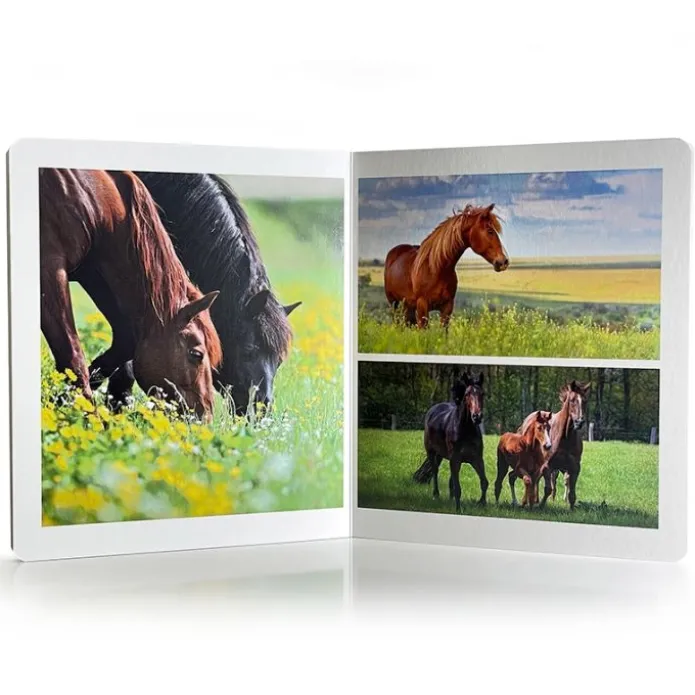 Libro grande de fotografías Animales de la Granja - Nowordbooks
