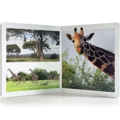 Libro grande de fotografías Animales de la Sabana - Nowordbooks