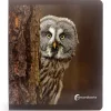 Libro grande de fotografías Animales del Bosque - Nowordbooks