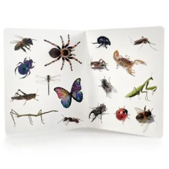 Libro grande de fotografías ¡Animales! - Nowordbooks