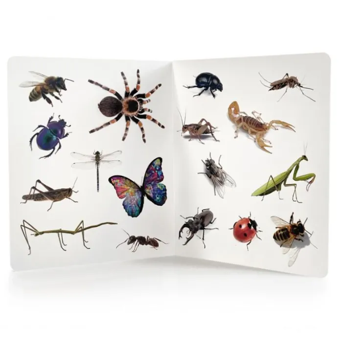 Libro grande de fotografías ¡Animales! - Nowordbooks