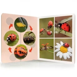 Libro grande de fotografías Los Ciclos de la Vida - Nowordbooks