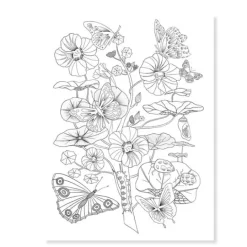 Láminas para colorear Naturaleza (3) - Djeco