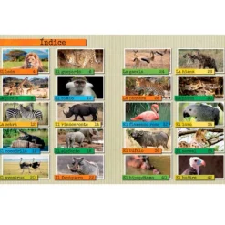 Los animales de la sabana - Descubriendo el mundo - Algar