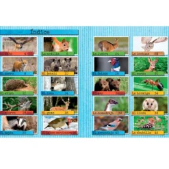 Los animales del bosque - Descubriendo el mundo - Algar