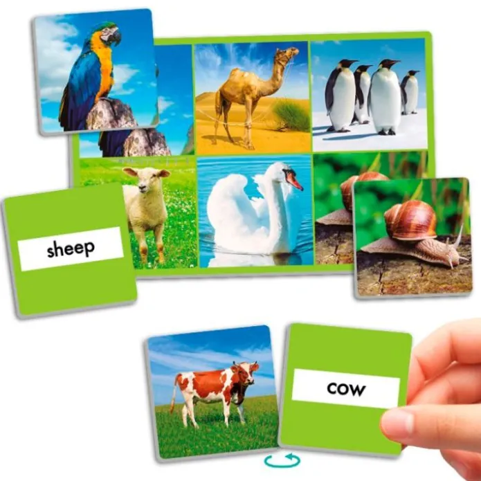 Loto 72 animales con imágenes y nombres en idiomas - Akros
