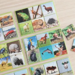 Loto 72 animales con imágenes y nombres en idiomas - Akros