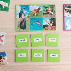 Loto 72 animales con imágenes y nombres en idiomas - Akros