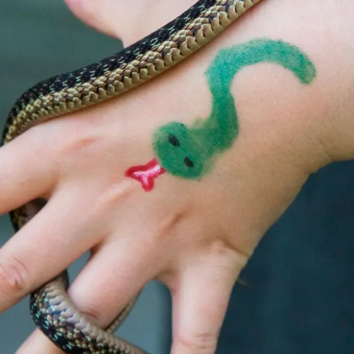 Lápiz de maquillaje para cara y cuerpo verde - Namaki