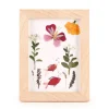 Marco de madera para flores prensadas - Huckleberry Kikkerland