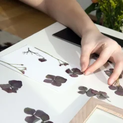 Marco de madera para flores prensadas - Huckleberry Kikkerland