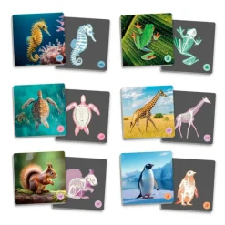 Maxi-Memory Animales vertebrados y sus esqueletos - Akros