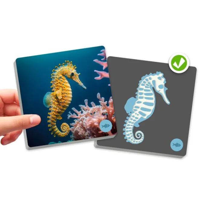 Maxi-Memory Animales vertebrados y sus esqueletos - Akros