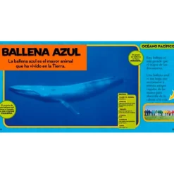 Mi primer gran libro del océano - National Geographic Kids