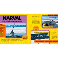Mi primer gran libro del océano - National Geographic Kids