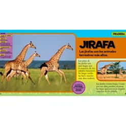 Mi primer gran libro de los animales - National Geographic Kids