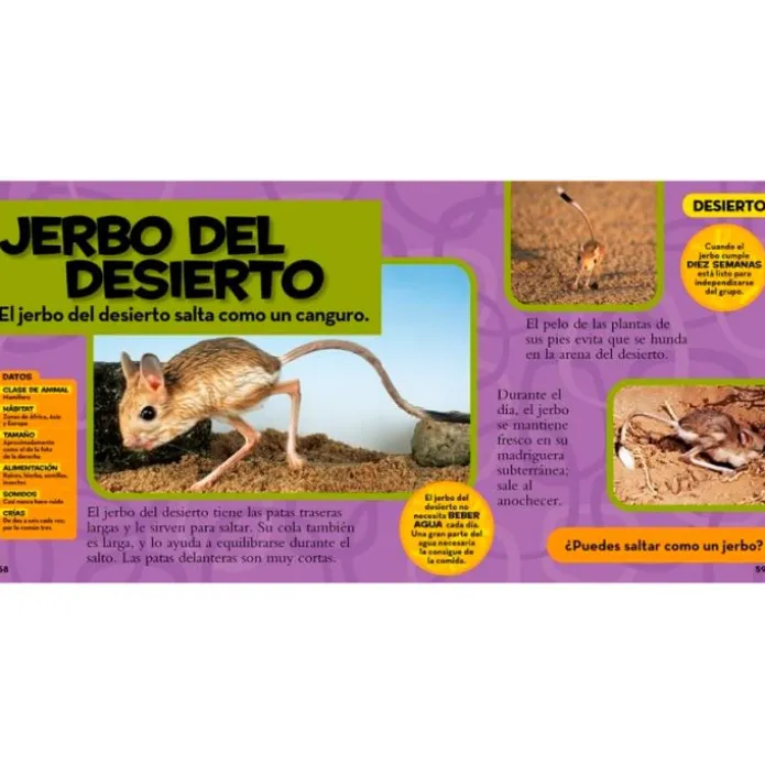 Mi primer gran libro de los animales - National Geographic Kids
