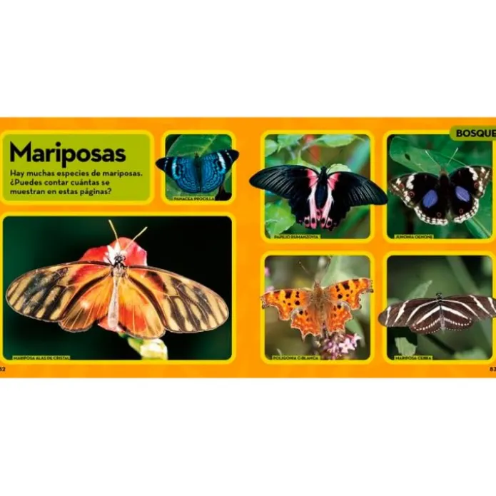 Mi primer gran libro de los animales - National Geographic Kids