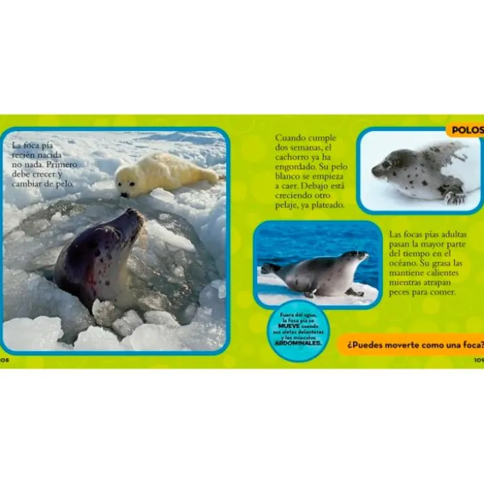Mi primer gran libro de los animales - National Geographic Kids