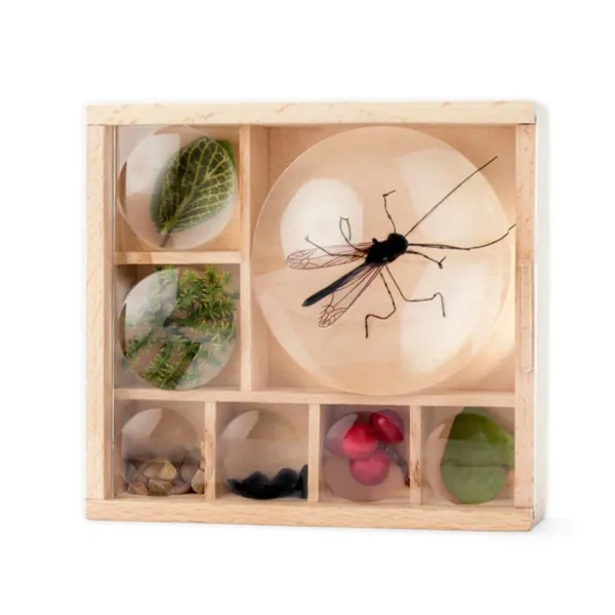 Museo de madera de bolsillo con lupas - Huckleberry Kikkerland