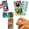 Natudomino El zoom de los animales - Akros