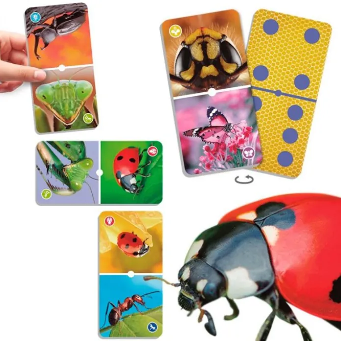 Natudomino Insectos - Akros