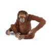Orangután hembra - Schleich