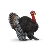 Pavo - Schleich