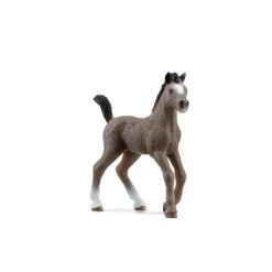 Potro Cheval de Selle Français - Schleich