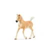 Potro Haflinger - Schleich