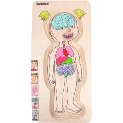Puzle de madera anatomía femenina 5 en 1 - Beleduc