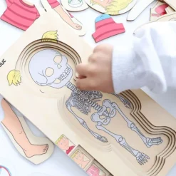 Puzle de madera anatomía femenina 5 en 1 - Beleduc