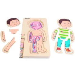 Puzle de madera anatomía masculina 5 en 1 - Beleduc